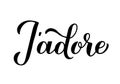 JÃ¢â¬â¢adore calligraphy hand lettering. I adore inscription in French. Valentines day typography poster. Vector template for banner