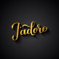 J adore gold calligraphy hand lettering on black background. I adore inscription in French. Valentines day typography