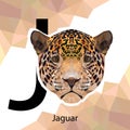 J letter animals set. English alphabet. Vector illustration. Colorful polygonal style. Geometric Jaguar Royalty Free Stock Photo