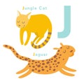 J letter animals set. English alphabet