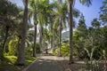 J.R. O'Neal Botanic Garden. Road Town, Tortola Royalty Free Stock Photo