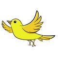 Yellow Sparrow Flying in Air. Cute Yellow Bird.