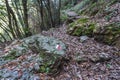 Jabal Moussa reserve in Lebanon Royalty Free Stock Photo