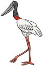 Jabiru bird animal character cartoon illustration