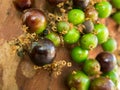 Jaboticaba brazilian tree with lot of green fruits on trunk