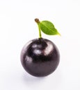 Jaboticaba or jabuticaba is a purplish black-white fruit that can be eaten raw or used to make jams, juices, liqueur or wine.
