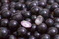 Jabuticaba fruit closeup