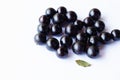 Jabuticaba fruit with white background.