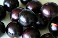 Jabuticaba or Jaboticaba is a purplish-black, white-pulped fruit.