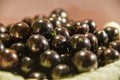 Jabuticaba Myrciaria cauliflora fruits clustered on top of a burlap cloth on a light background