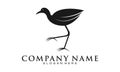 Jacana bird illustration vector logo