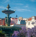 Jacaranda blooming in Lisbon Rosso Square North Fountain, beautiful view