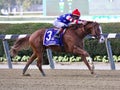 Jack Christopher Romps in the Champagne Stakes Royalty Free Stock Photo