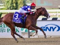 Jack Christopher Romps in the Champagne Stakes Royalty Free Stock Photo