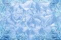 Jack frost ice crystal patterns & snowy spruce Royalty Free Stock Photo