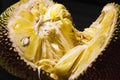 Jack fruit Royalty Free Stock Photo