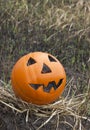 Jack lantern for Halloween of a basketball on scorched earth