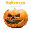 Jack lantern for Halloween made of rotten pumpkin Royalty Free Stock Photo