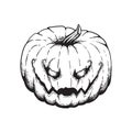 Jack Lantern Pumpkin Halloween Illustration Royalty Free Stock Photo