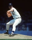 Jack Morris, Detroit Tigers