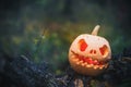 Jack O Lantern, with an evil face. spooky pumpkin for halloween on a fallen tree in the forest on a foggy gray night Royalty Free Stock Photo