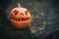 Jack O Lantern, with an evil face. spooky pumpkin for halloween on a fallen tree in the forest on a foggy gray night Royalty Free Stock Photo