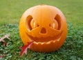 Jack O Lantern Royalty Free Stock Photo