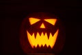 Jack-o-lantern for halloween closeup