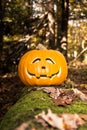Jack O Lantern in the Haunted Woods Royalty Free Stock Photo