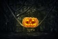 Jack O Lantern pumpkin on trunk tree in mystic forest at night, Royalty Free Stock Photo