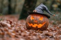 jack o lantern with a witch hat Royalty Free Stock Photo