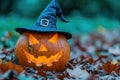 jack o lantern with a witch hat Royalty Free Stock Photo