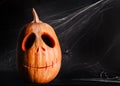 halloween pumpkin in the dark Royalty Free Stock Photo