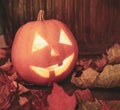 Jack o lanterns  Halloween pumpkin face on wooden background Royalty Free Stock Photo