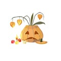 Jack O`Latern as a vase for orange physalis on white isolated background, vector illustration for Halloween topic that can be used