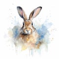 jack rabbit Generative Ai