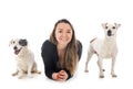 Jack russel terrier and woman Royalty Free Stock Photo