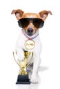 Winner trophy dog