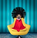 Dog at hairdressers salon Royalty Free Stock Photo