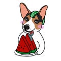 Jack Russell dog want to eat watermelon cartoon illustration