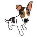 Jack Russell puppy dog portrait cartoon illustration
