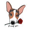 Jack Russell puppy dog with rose in mouth, i woof you cartoon illustration