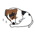 Jack Russell puppy dog sleeping cartoon illustration