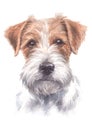 Jack Russell`s water colour painting 025