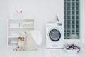 Jack russell terrier in bathroom with mashing machine, basket with laundry, shelf with folded linen and bottles with detergent,