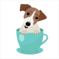 Jack Russell Terrier in blue teacup, illustration, set for baby fashion