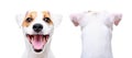 Jack Russell Terrier, closeup, front view and back view
