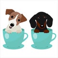 Jack Russell Terrier and Dachshund dog in blue teacup, illustration, set for baby fashion