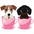 Jack Russell Terrier and Dachshund dog in pink teacup, illustration, set for baby fashion