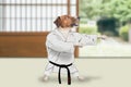 Jack russell terrier dog doing karate kata dance form Royalty Free Stock Photo